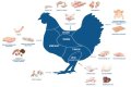 What are the main products from chicken