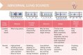 What do adventitious breath sounds mean